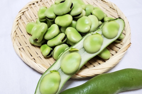 そら豆冷凍まずい？解凍方法を知りたい