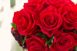 結婚記念日バラの本数のイメージ画像
