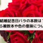 結婚記念日バラの本数は？1本から複数本や色の意味についても！
