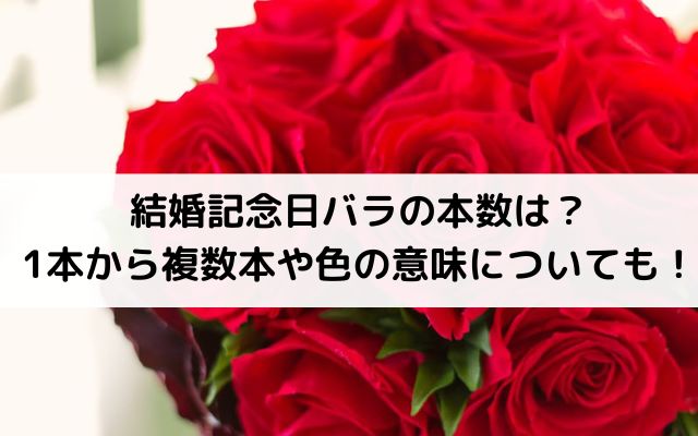 結婚記念日バラの本数は？1本から複数本や色の意味についても！